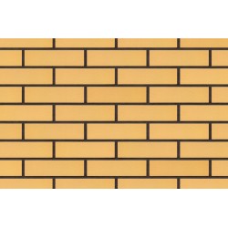 Пустынная роза