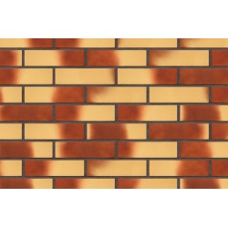 Пустынная роза тон