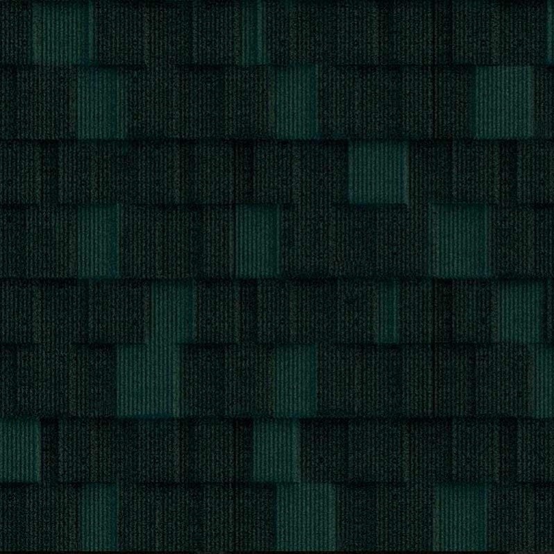 SHINGLE Ravine